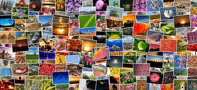 lizenzfreie Fotos