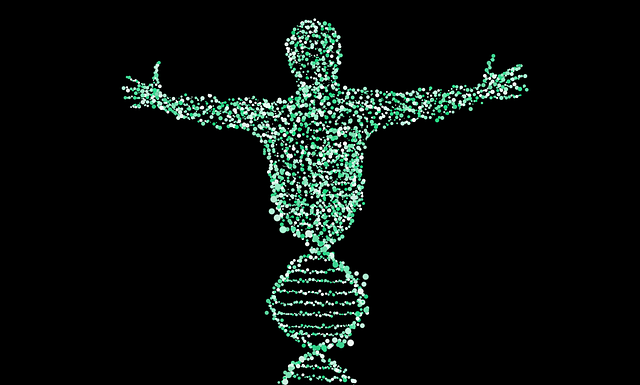dna test herkunft