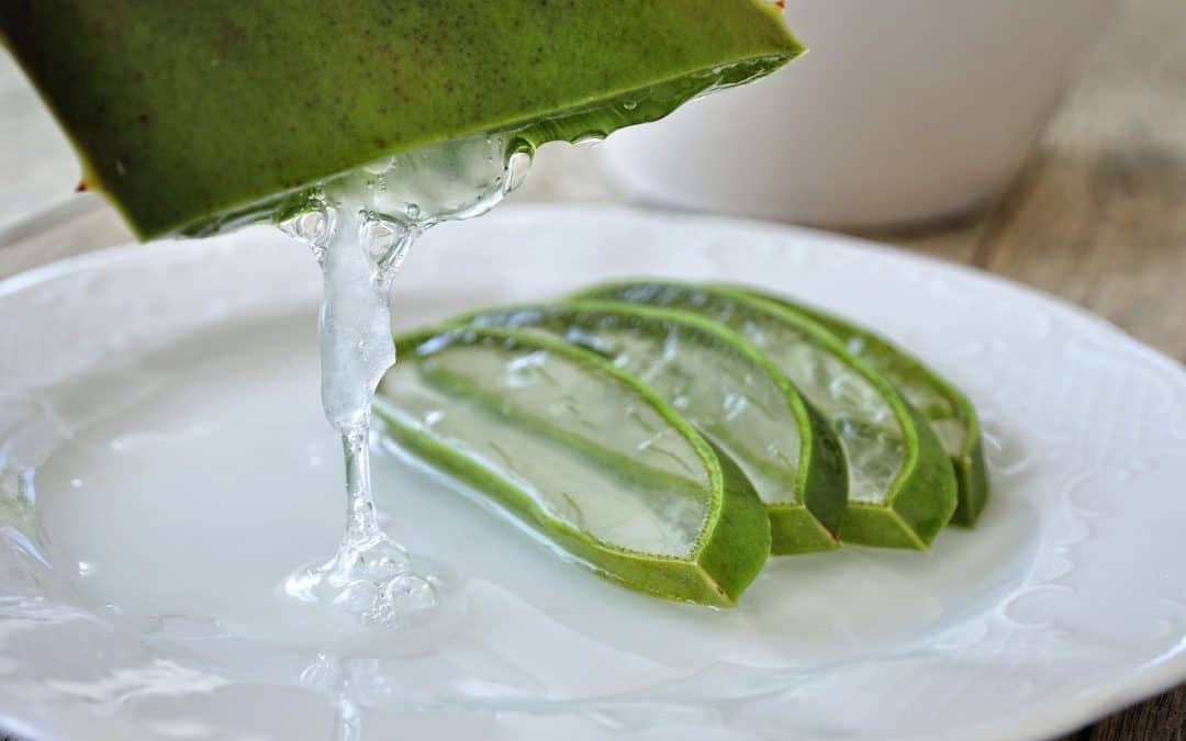 Reines Aloe Vera Gel: Darum ist es so gut für Ihre Gesundheit