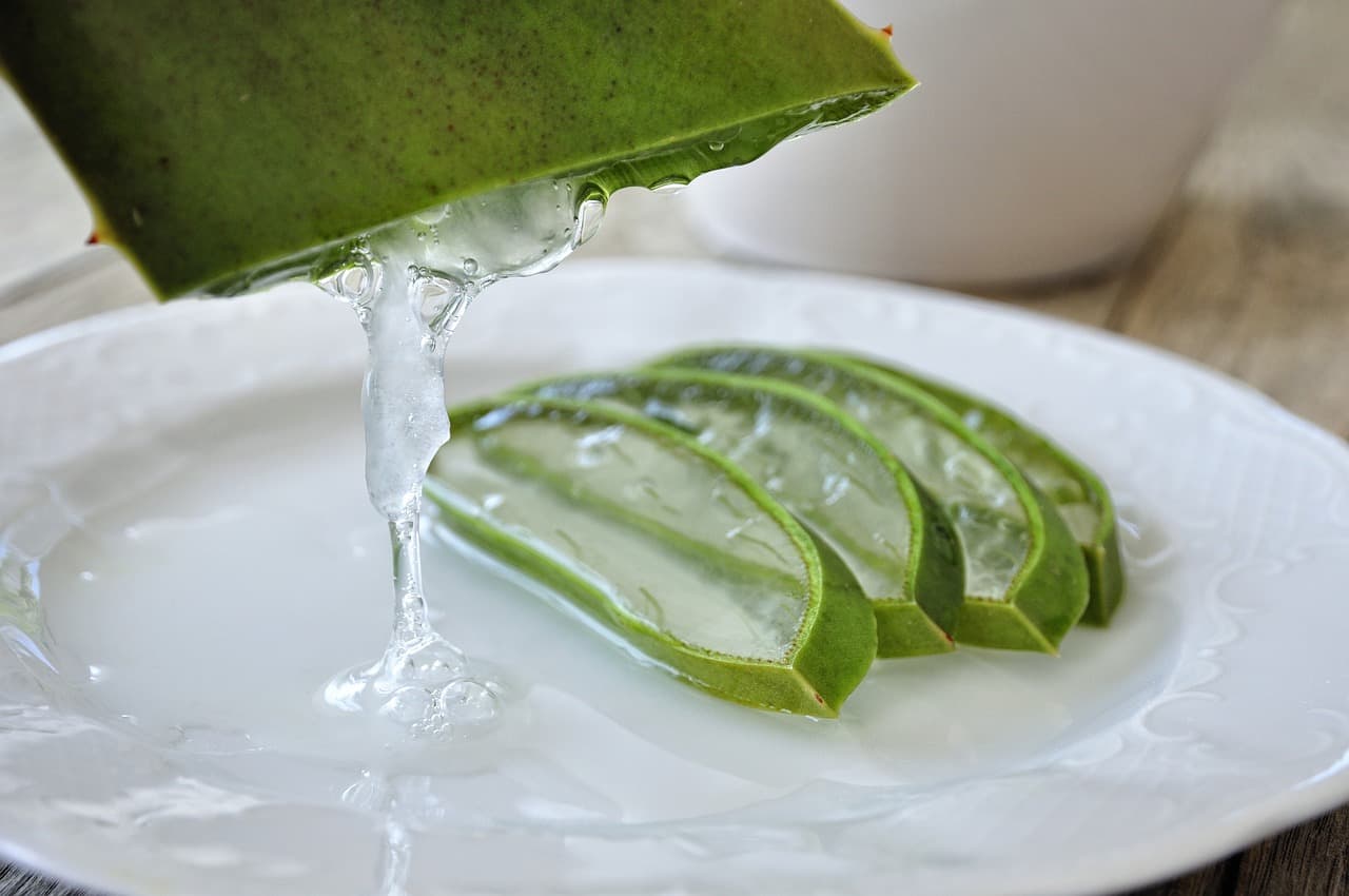 Reines Aloe Vera Gel